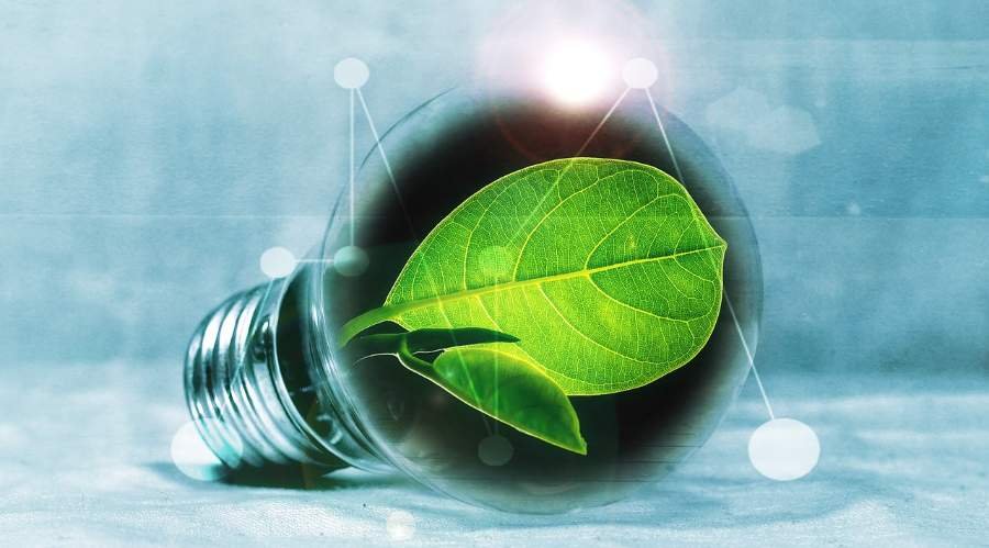 ¡Es hora de conocer a la energía verde!